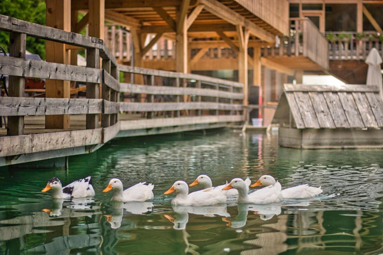 Slovenia Eco Resort Stahovica Eksteriør bilde
