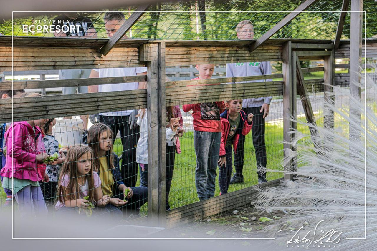 Slovenia Eco Resort Stahovica Eksteriør bilde