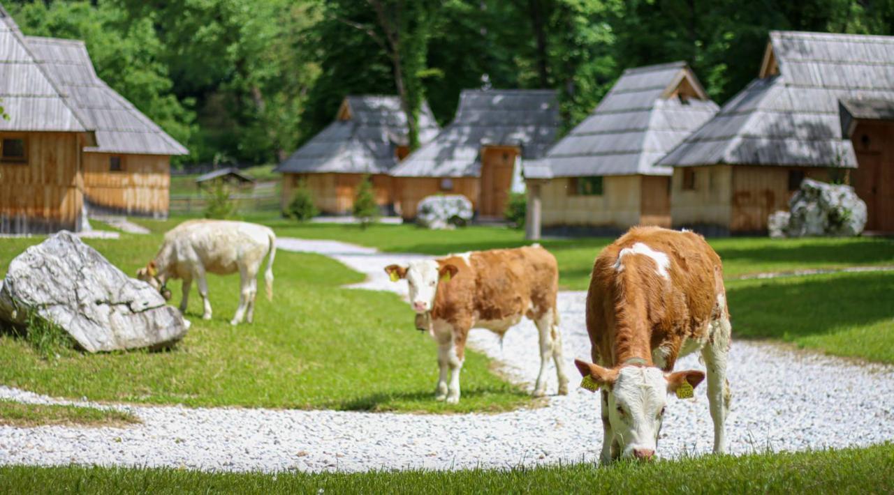 Slovenia Eco Resort Stahovica Eksteriør bilde