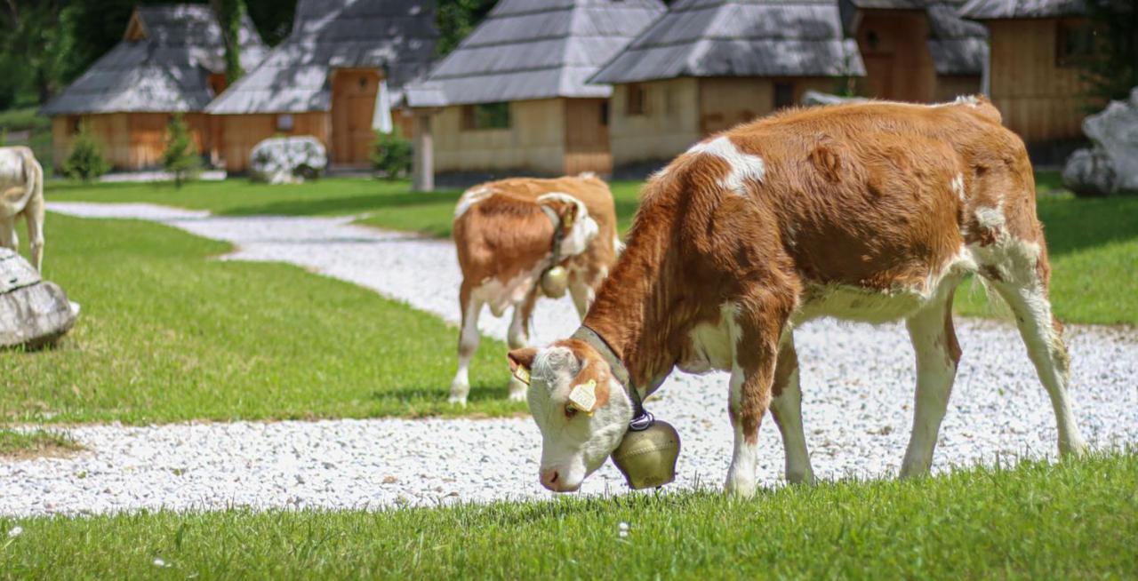 Slovenia Eco Resort Stahovica Eksteriør bilde