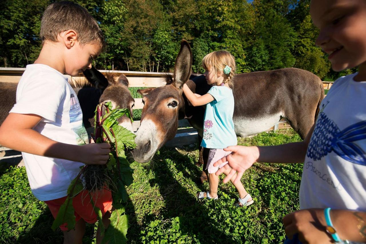 Slovenia Eco Resort Stahovica Eksteriør bilde