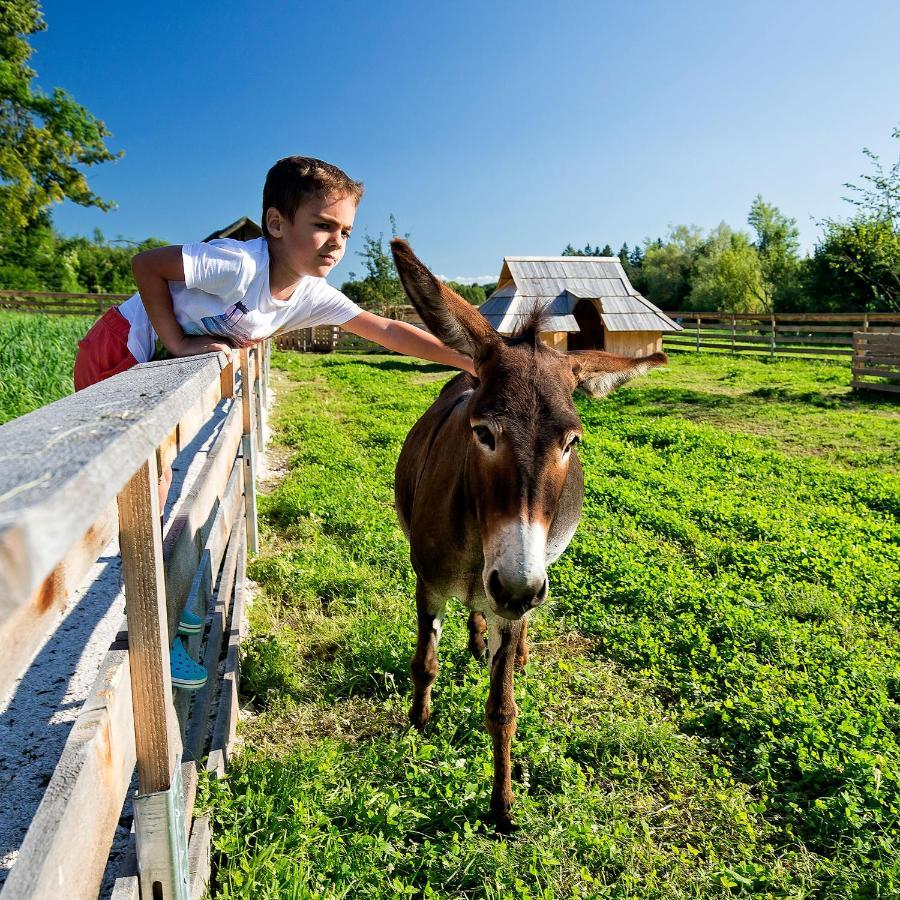Slovenia Eco Resort Stahovica Eksteriør bilde